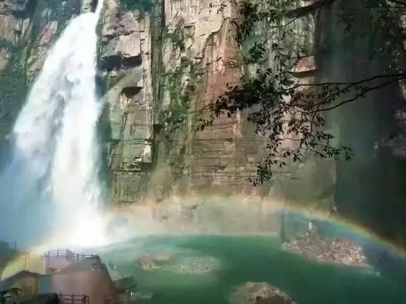 连续四年夺得销冠 轩逸的幸福之道