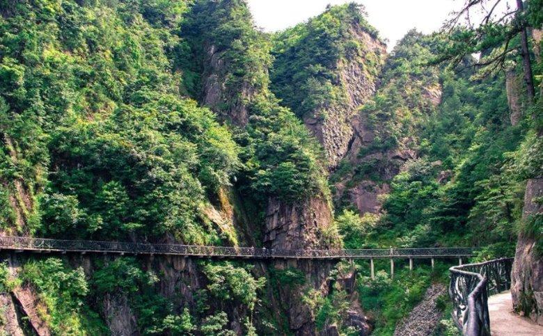 十三届镇平县委第八轮巡察完成反馈