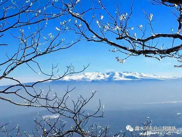 大豪宅逃脱7