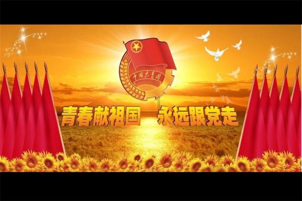 去年12月皮卡市场销量为4.8万辆