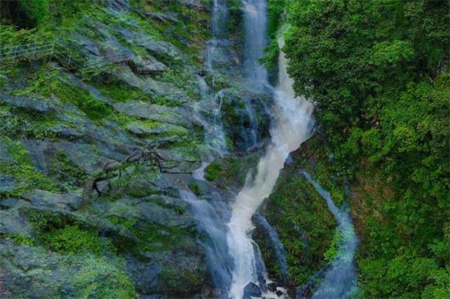 渝商出海开年动力足 重庆卖家用万里汇跨境收款去年涨了75%