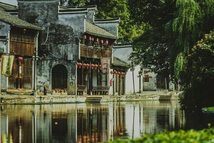 虫虫助手下载